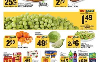 Food Lion Weekly Ad (9/10/25 - 9/16/25)